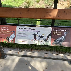 African Savanna Aviary Signage
