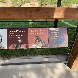 African Savanna Aviary Signage