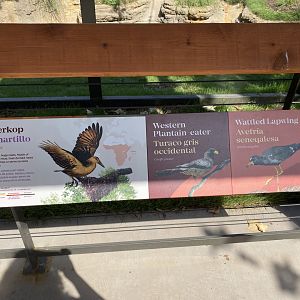 African Savanna Aviary Signage