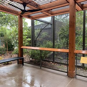 Africa and North America Shared Viewing Area