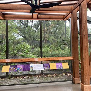 Africa and North America Shared Viewing Area