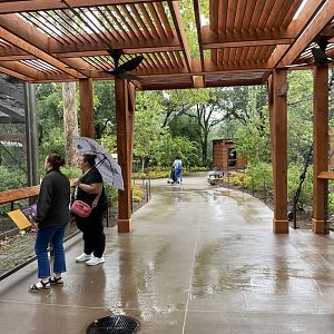 Africa and North America Shared Viewing Area