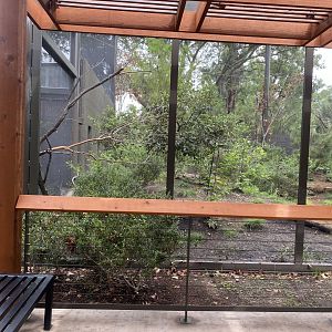 North American Woodlands Aviary