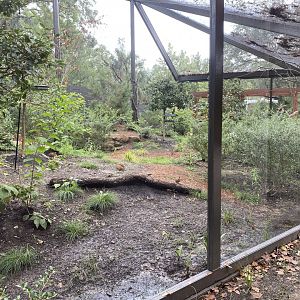 North American Woodlands Aviary
