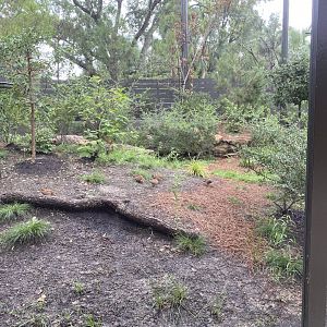 North American Woodlands Aviary