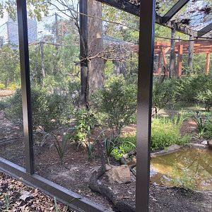 North American Woodlands Aviary