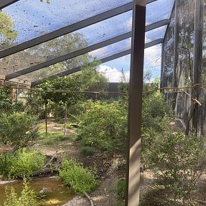 North American Woodlands Aviary