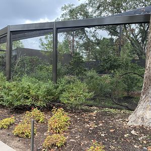 North American Woodlands Aviary