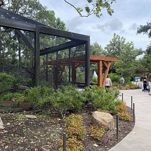 North American Woodlands Aviary