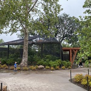 North American Woodlands Aviary