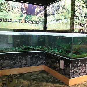Native freshwater tank