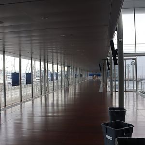 Dolphin Viewing Area - 24 June 2024