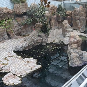 Top of West Indian Manatee Enclosure - 24 June 2024