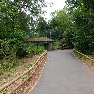 View towards Sumatran tiger exhibit 130624