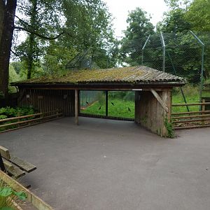 Sumatran tiger exhibit 130624