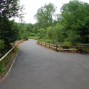 View back from Sumatran tiger exhibit 130624