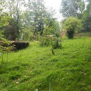Sumatran tiger exhibit 130624