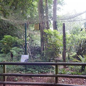 Ural owl exhibit 130624