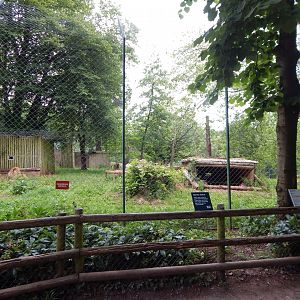 Lion exhibit 130624