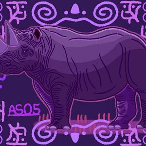 Black Rhinoceros