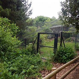 Mixed exhibit 130624