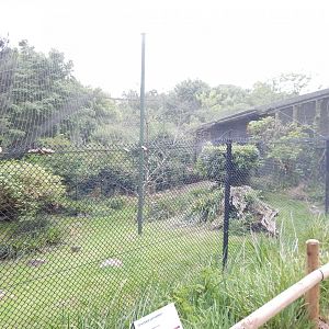 Mixed exhibit 130624