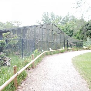 View towards hornbill exhibits 130624