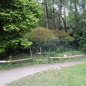 Sacred ibis exhibit 130624
