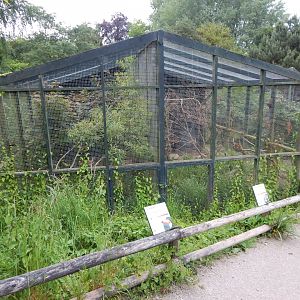 Aviaries 130624