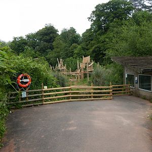 View towards Bornean orangutan/Pied tamarin exhibits 130624
