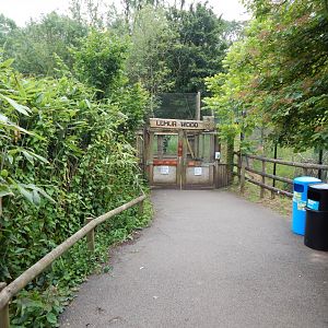 View towards Lemur Wood 130624