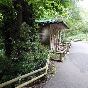 Red ruffed lemur exhibit 130624