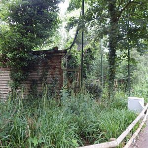 Red ruffed lemur exhibit 130624