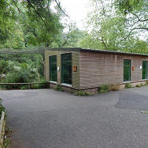 Mixed lemur exhibit 130624