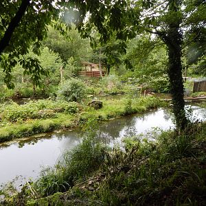 Bornean orangutan exhibit 130624