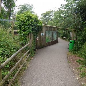 South African cheetah exhibit 130624