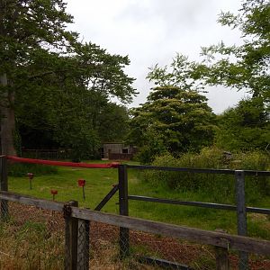 Ostrich exhibit 130624