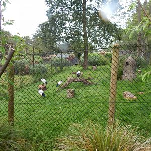 Mixed exhibit 130624