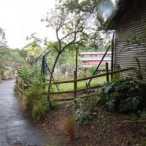 Mandrill exhibit 130624