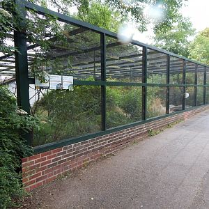 Cottage Aviary 130624