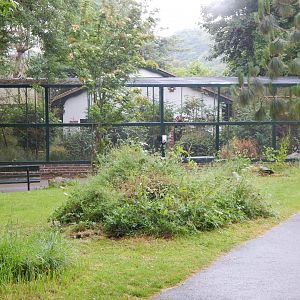 Cottage Aviary 130624