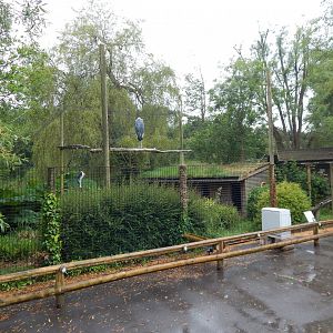 Marabou exhibit 130624