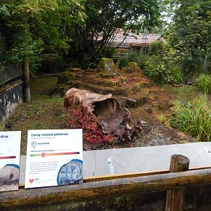 Mixed exhibit 130624