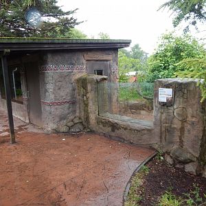 Meerkat exhibit 130624