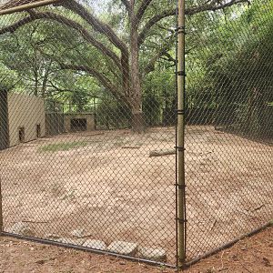 Zoosiana - Cheetah exhibit