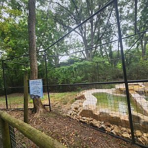 Zoosiana - New Pygmy Hippo exhibit construction