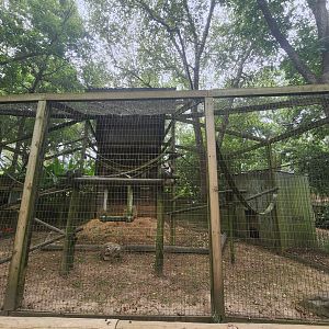 Zoosiana - Mona Monkey exhibit