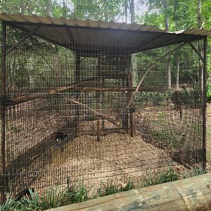 Zoosiana - Golden-crowned Lion Tamarin enclosure