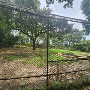 Zoosiana - Tiger exhibit