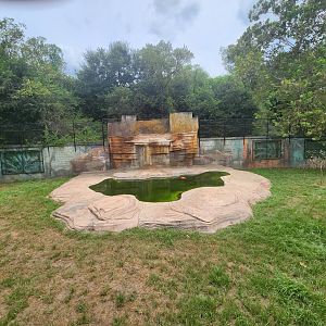 Zoosiana - Lion exhibit